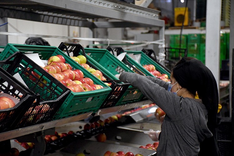 Hobi olarak başladı Avrupa'ya açıldı