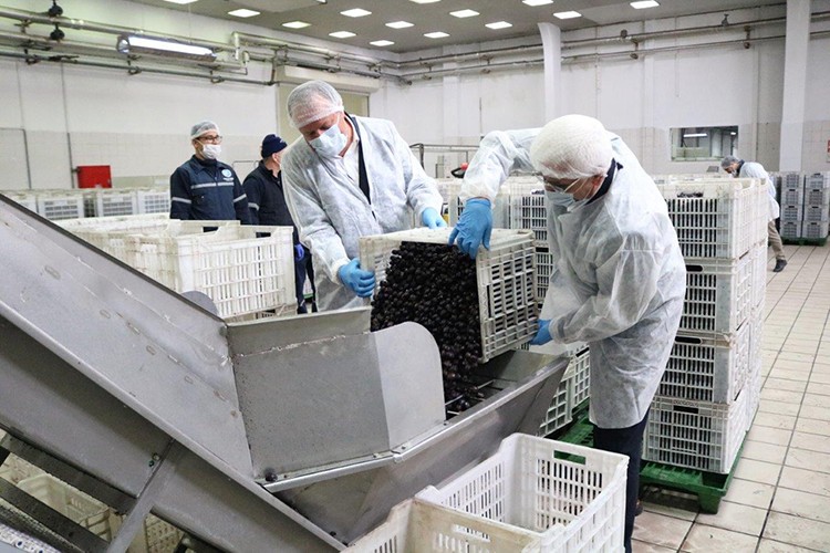 "Ürünlere zam yapmayacağız"