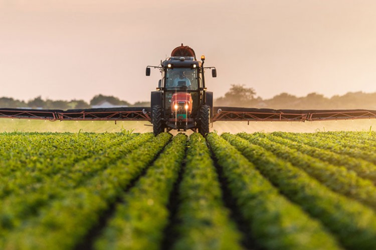 Tarımda ÜFE yüzde 0.45 arttı