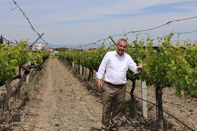 "Hayır demeyi öğrendiğimiz gün kuru üzümümüz para edecek
