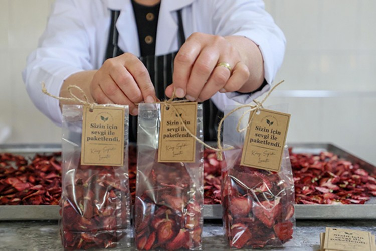 Emiralem çileğinin kurusu kadın girişimcilere gelir kapısı oldu