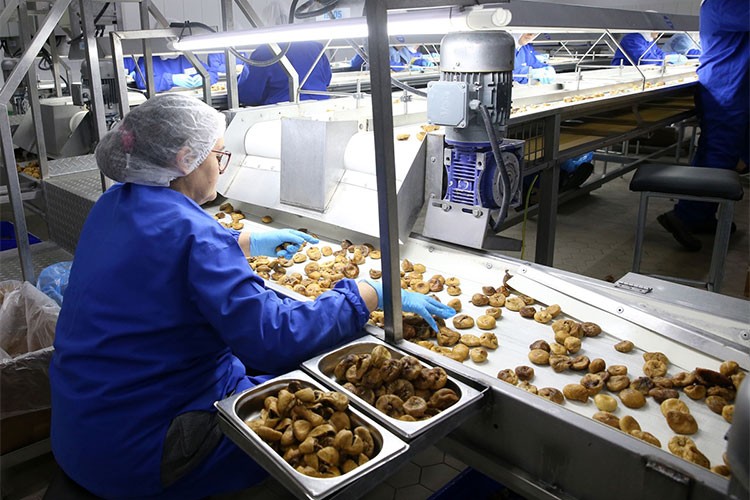 Türkiye'nin kuru meyve ihracatı 2 milyar dolara yaklaştı