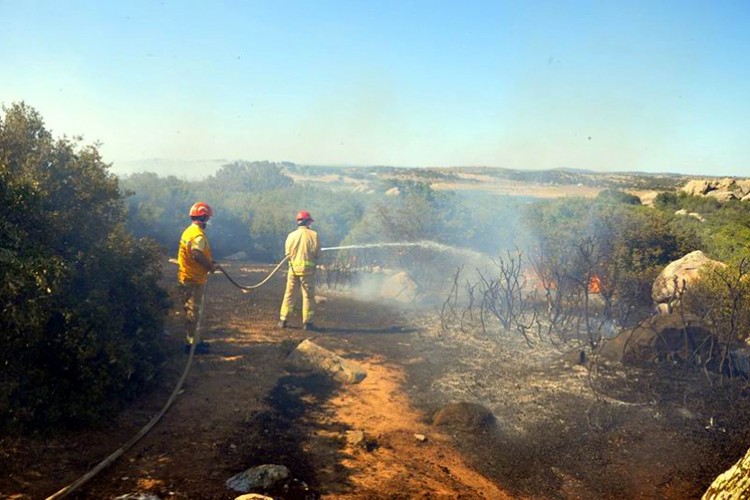 Çanakkale'de makilik alanda çıkan yangın zarara yol açtı