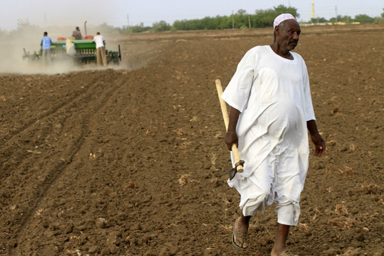 Sudan'dan Türkiye'ye 100 bin hektar tarım arazisi
