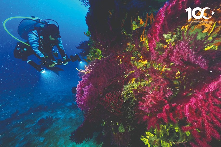 Tarih, Doğa, Deniz, Gastronomi bir arada