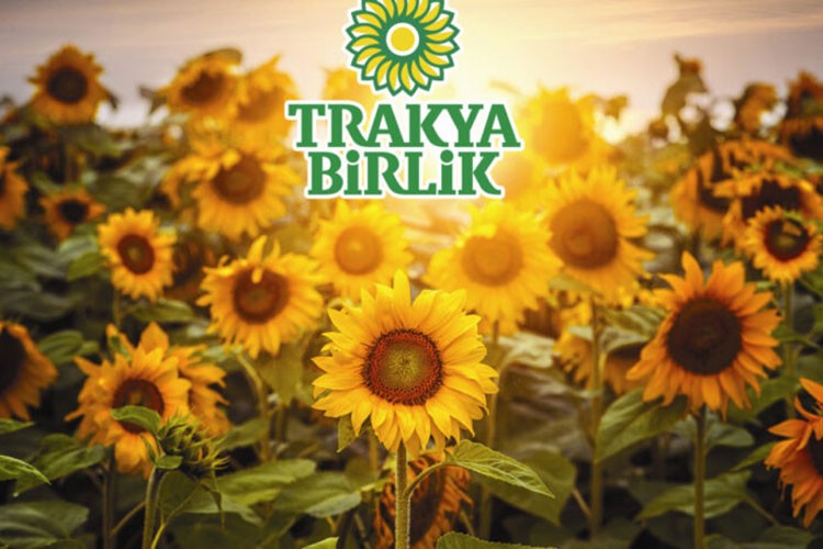 Trakya Birlik, ayçiçeği ön alım fiyatını açıkladı