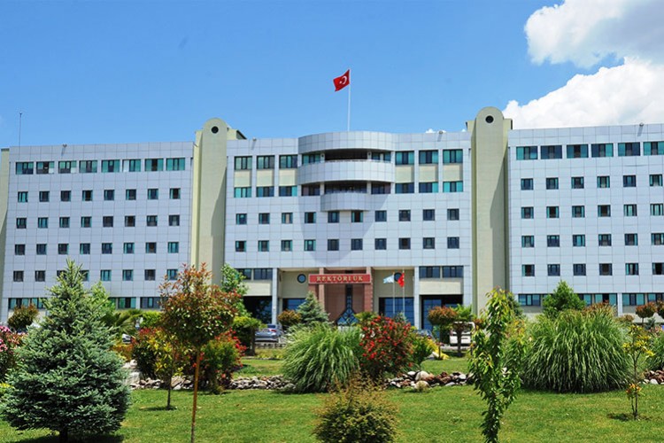 Akademisyen alınacak