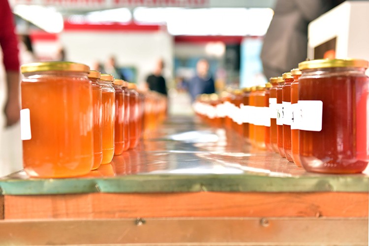 Geleneksel bal yarışması