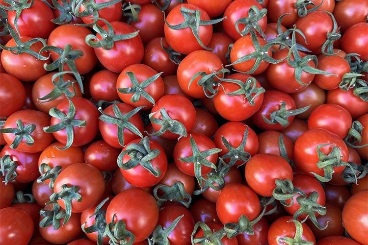 Sebze ihracatında Türkiye'nin lideri Antalya