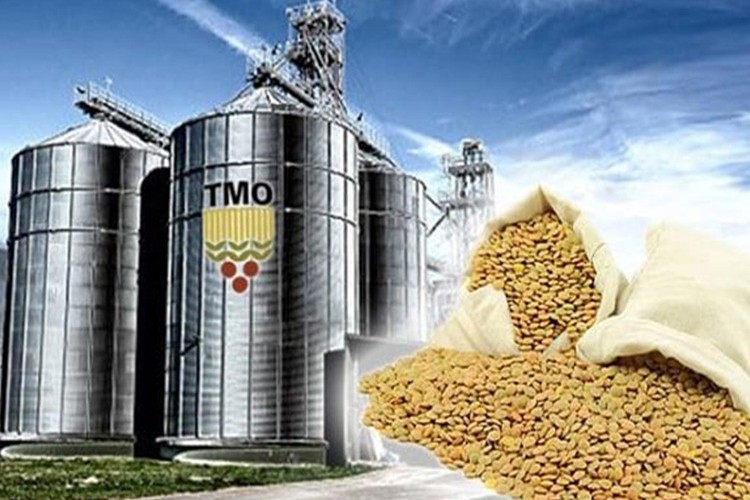 TMO hububat alımını 530 noktadan yapacak