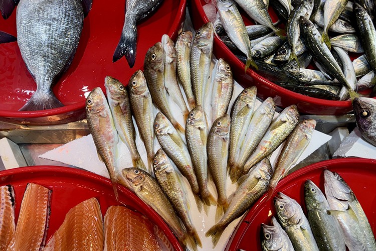 Trabzon'da balıkçı tezgahlarında bolluk yaşanıyor