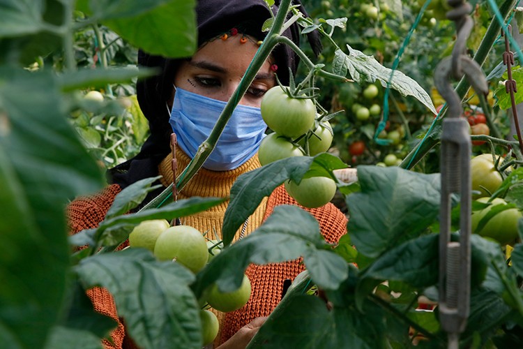 Harran seraları narin ellere emanet