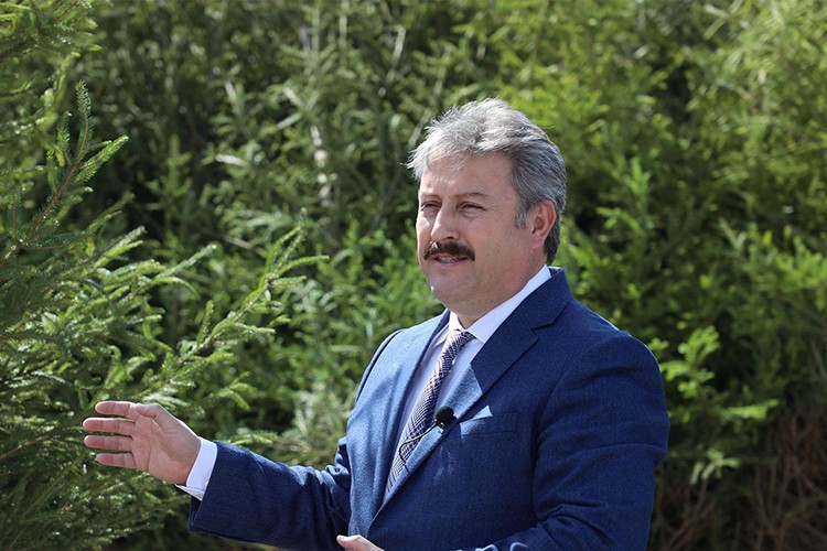 TIR TIR ağaçlar yolda