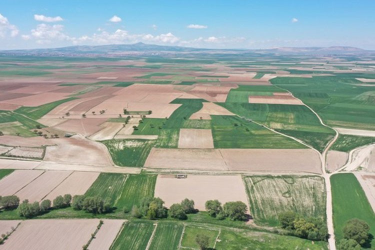 Tarıma Dayalı OSB Projesi onaylandı