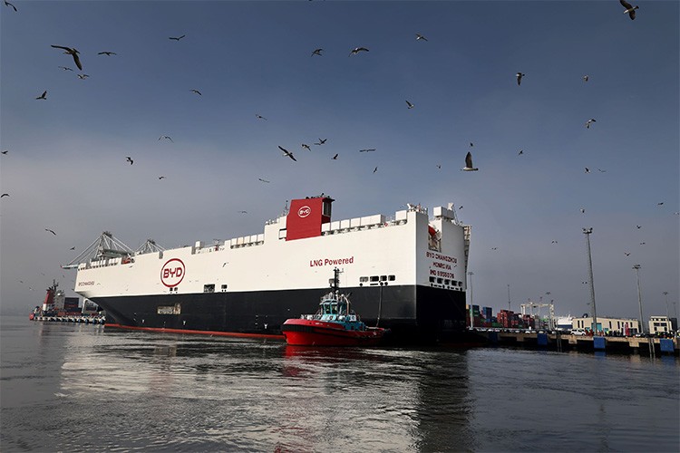 BYD'nin araç gemisi "BYD CHANGZHOU" Türkiye'ye geldi