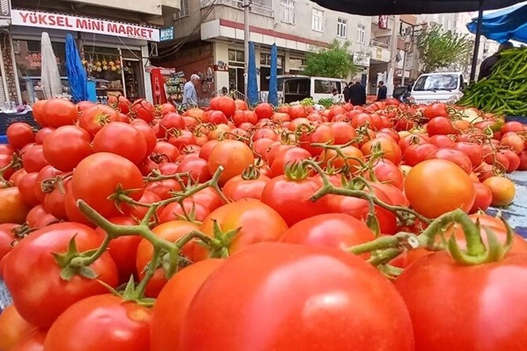 İstanbul'da en çok domatesin fiyatı arttı