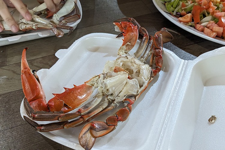 Yerli olmayan tür balıklara çözüm arayışı