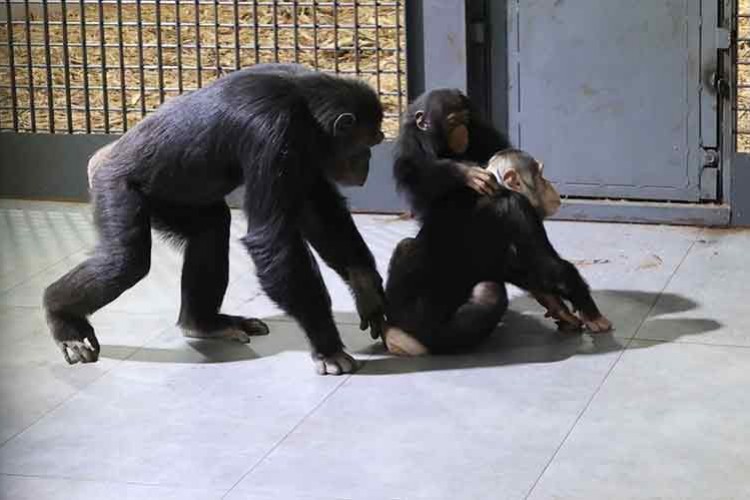 5 yıl sonra doğan kardeşi sayesinde annesiyle buluştu