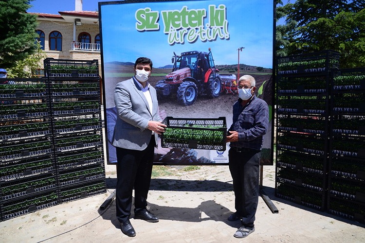 3 yılda 3 milyon sebze fidesi