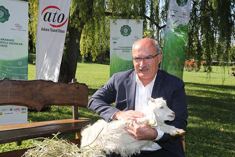 200 milyarlık pazar elimizde