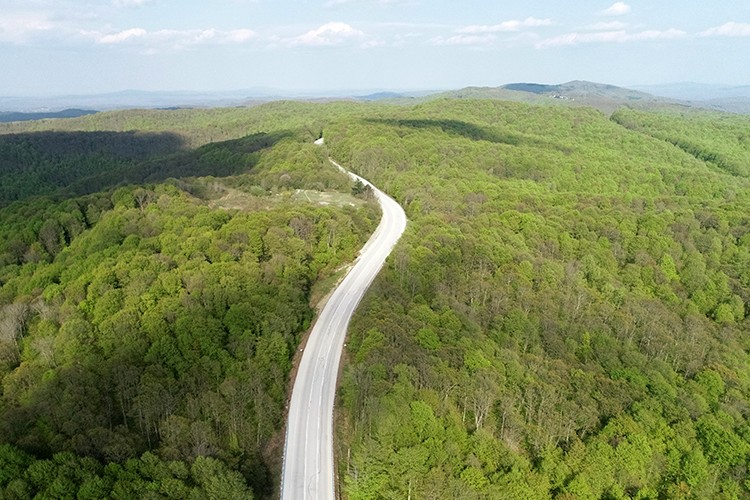 Bahar Istranca Ormanları'nda renk cümbüşü sunuyor