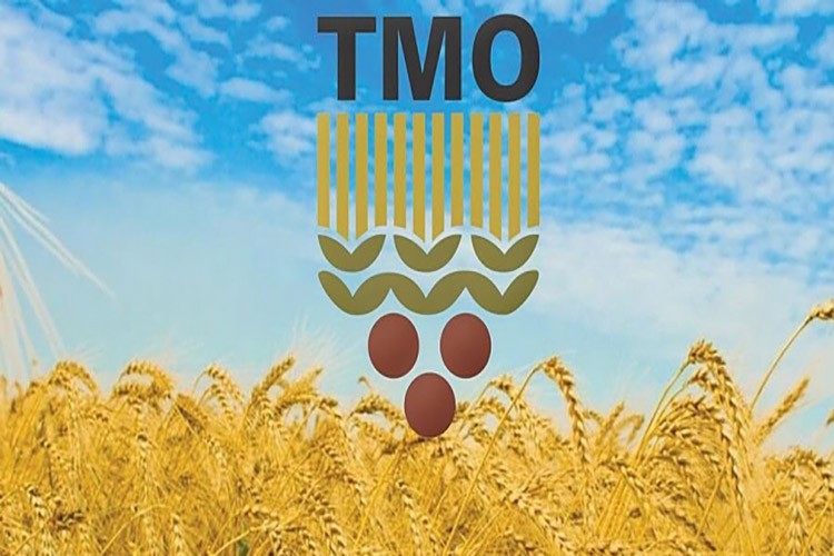 TMO 255,000 ton yemlik arpa alacak