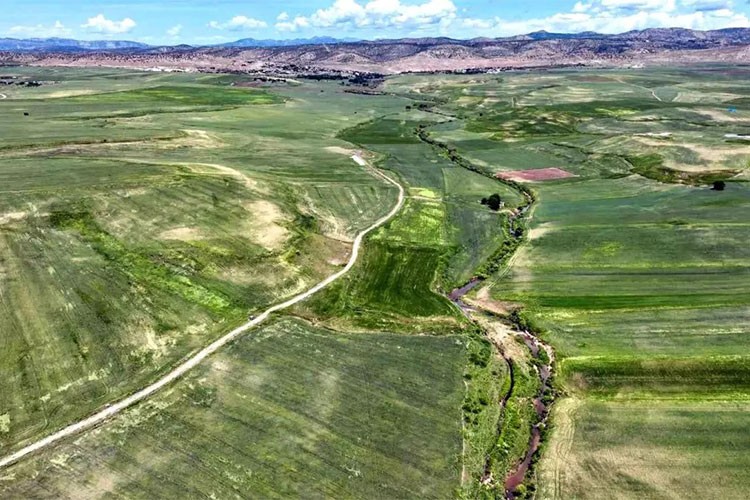 Diyarbakır'dan Çiftçilere 76 milyon TL'lik destek