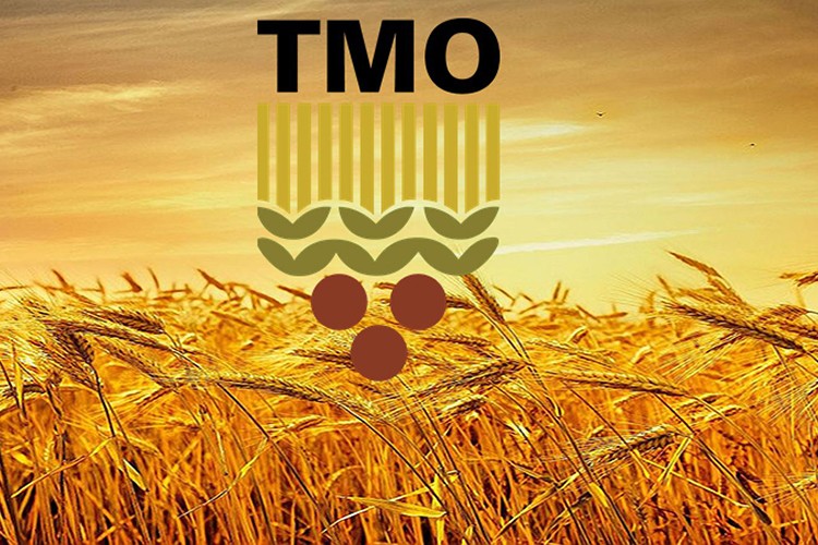 TMO lisanslı depolardaki buğdayı günlük satışa açıyor