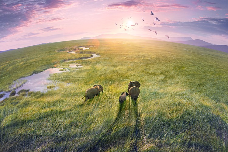 Merakla Beklenen Planet Earth III'ün İlk Fragmanı Yayınlandı