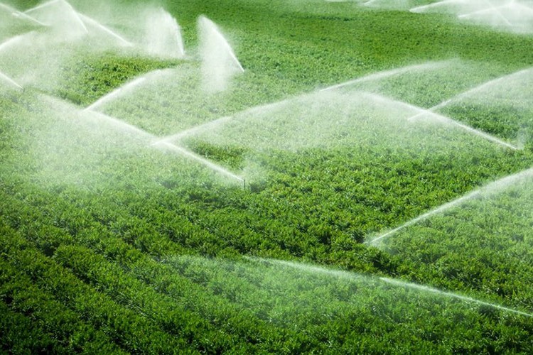 Tarım Arazilerinde Su ve Elektrik İsrafı Kaynakları Zorluyor