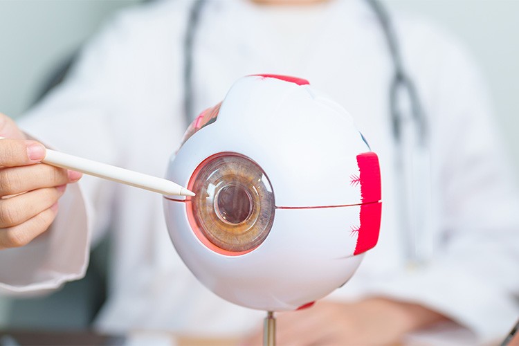 Trifokal Lens Gerçekten İşe Yarıyor mu?