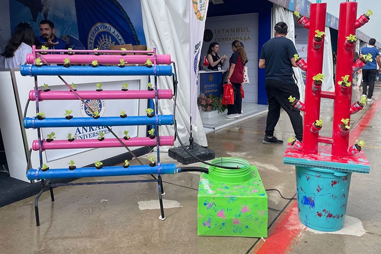 Topraksız tarımı teşvik eden proje