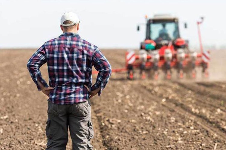 Tarımsal girdi fiyatları aylık yüzde 1,41 arttı