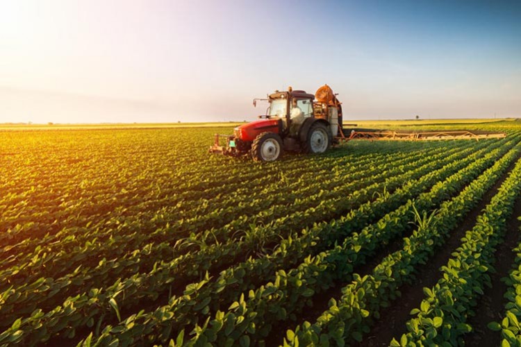 Tarımsal kalkınmada "organize" atak