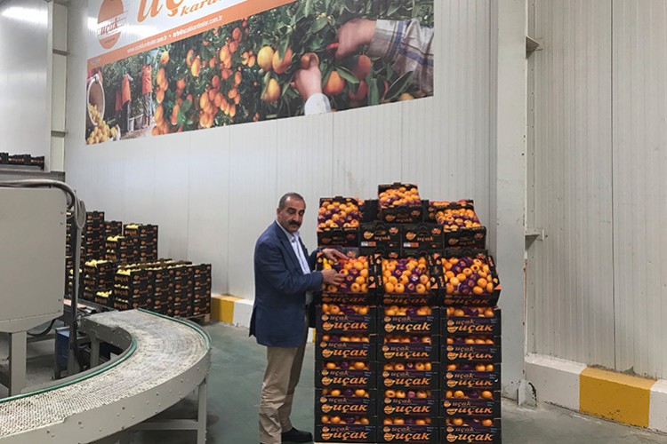 Herkesi üretime teşvik edecek