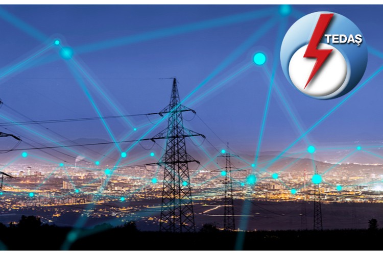 TEDAŞ, Çoruh EDAŞ ve Fırat EDAŞ ile eğitimde iş birliği anlaşması imzaladı