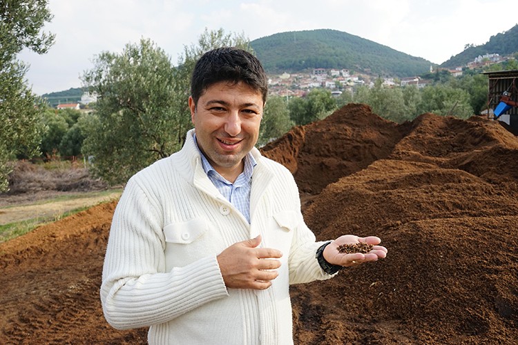 Zeytinden çevreci yakıt...