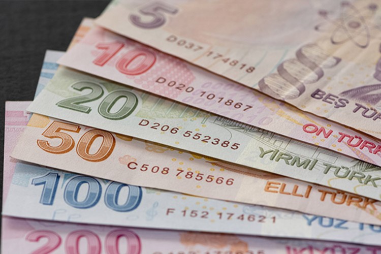 Reel efektif döviz kuru endeksi Şubat'ta yükseldi