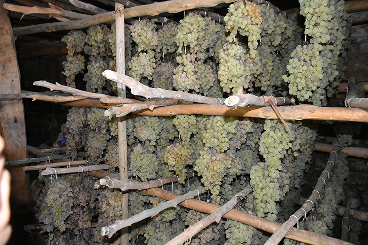 5 aydır bekliyor ama hala taze