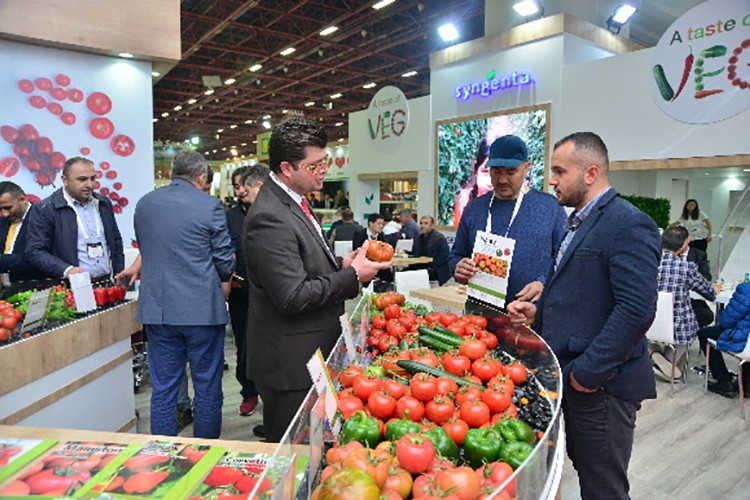 Hedef yüzde 70 büyüme