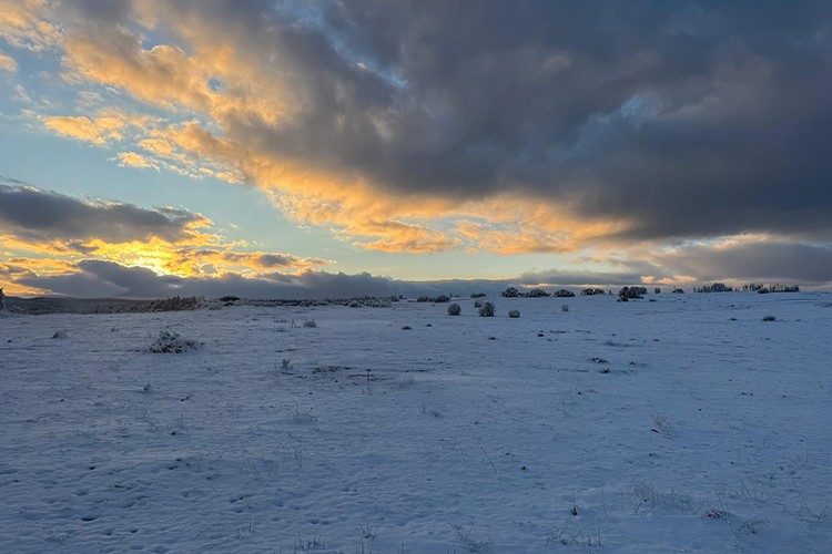 "Türkiye önceliğimiz, şehitlerimiz kırmızı çizgimiz!"