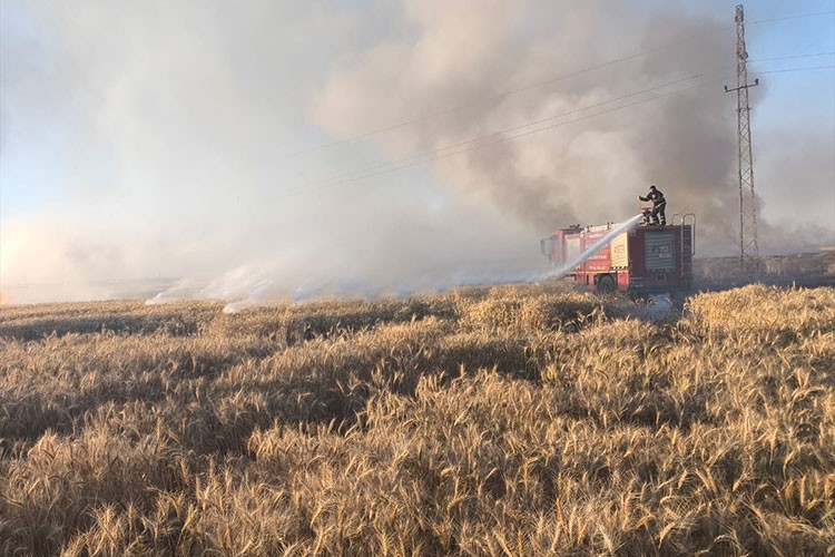Yangınlarda 155 dönüm buğday ekili alan zarar gördü