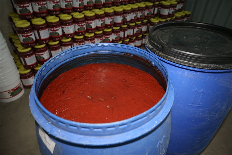 Mahallenin 50 yıllık kooperatifi, yıllık 2 bin 500 ton salça üretiyor