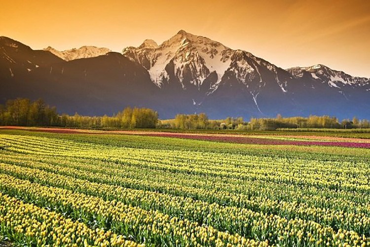 Tarımsal girdiler yüzde 2.76 arttı