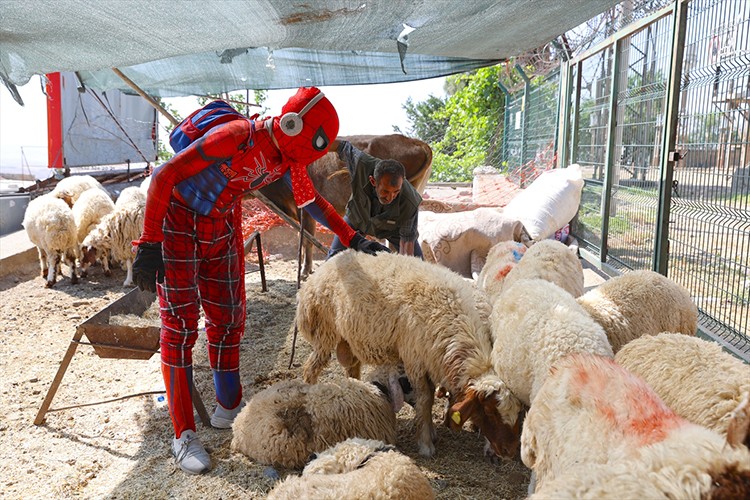 Türkiye'yi gezen "Örümcek Adam" Mardin'de