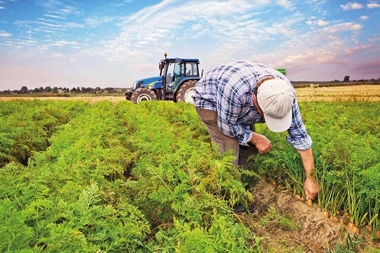 Tarımsal girdiler rekor seviyede yükseldi