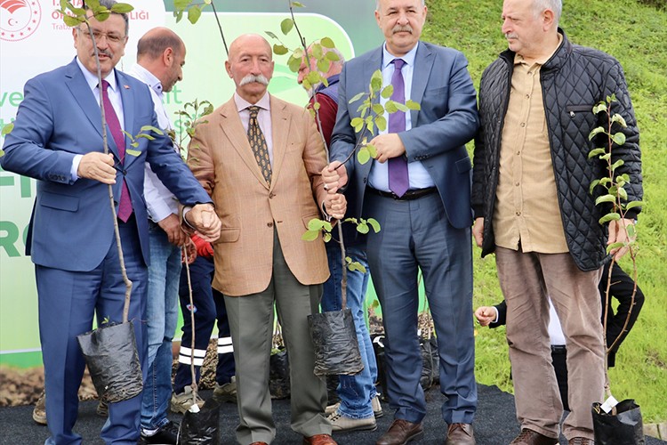 Trabzon'da üreticilere ücretsiz 5 bin 300 meyve fidanı dağıtıldı