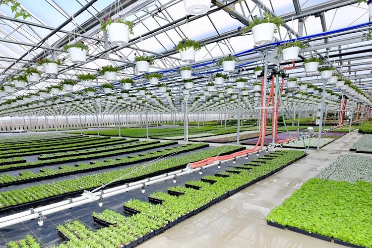 Tüm zamanların en yüksek tarım ürünleri ihracatı