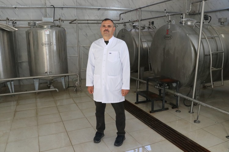 Sütten aylık 27 milyon lira gelir