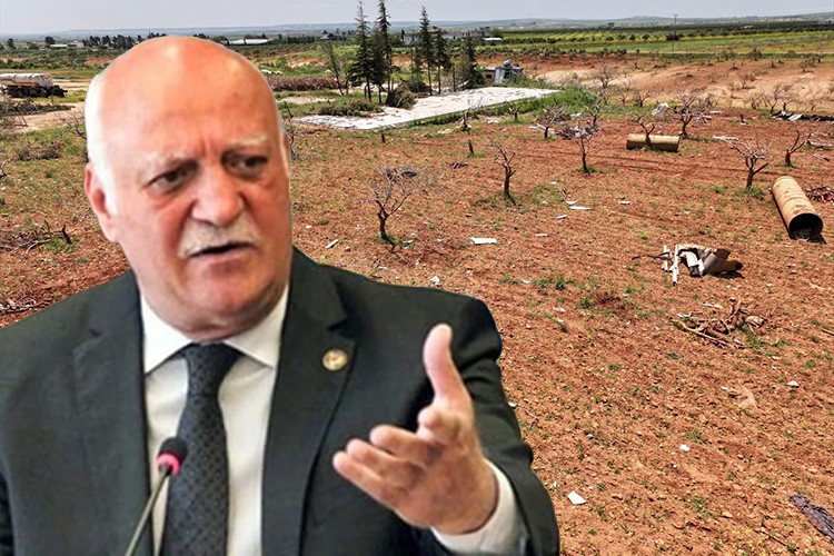 "380 bin dekar alan zarar görmüş durumda"